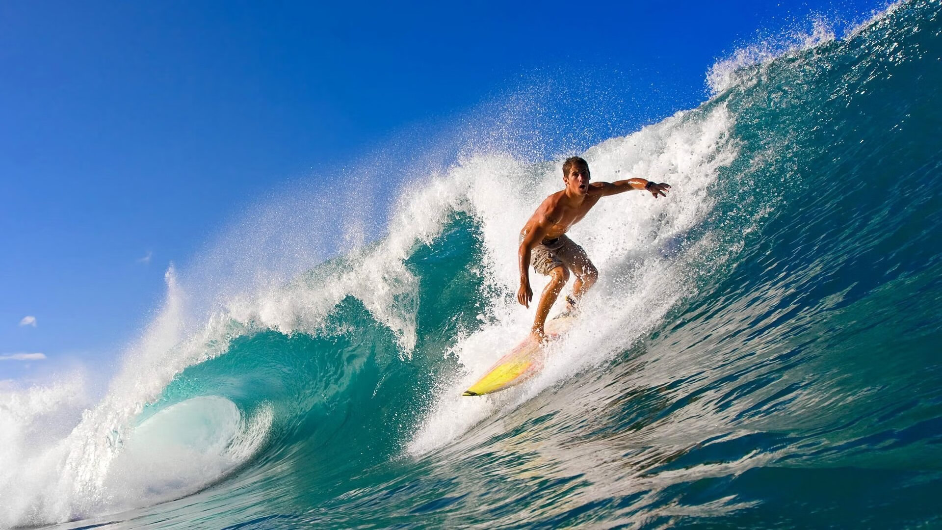 开云体育入口-黄喜灿，从安菲尔德阴影到世界杯舞台的亚洲风暴